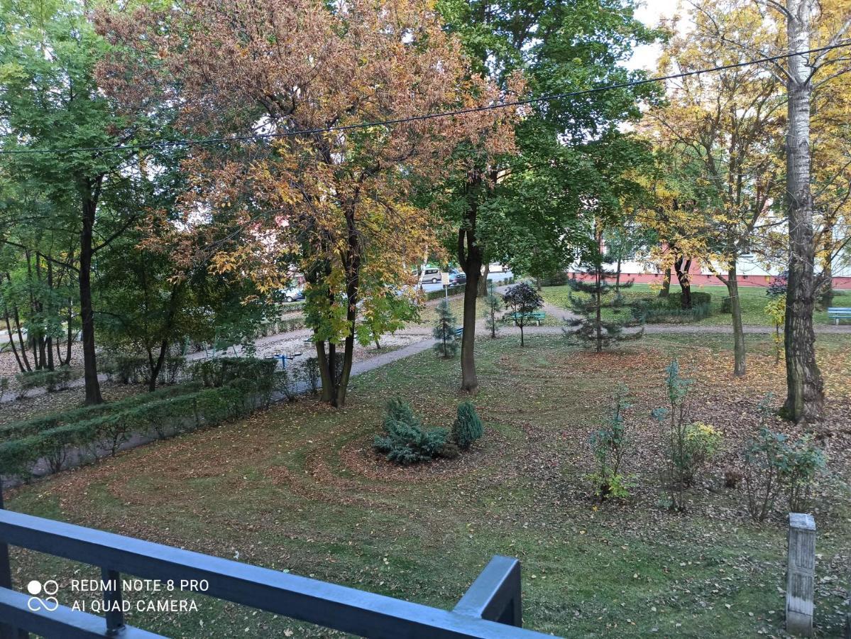 Studio Park Slaski Katowice/שורזוב מראה חיצוני תמונה